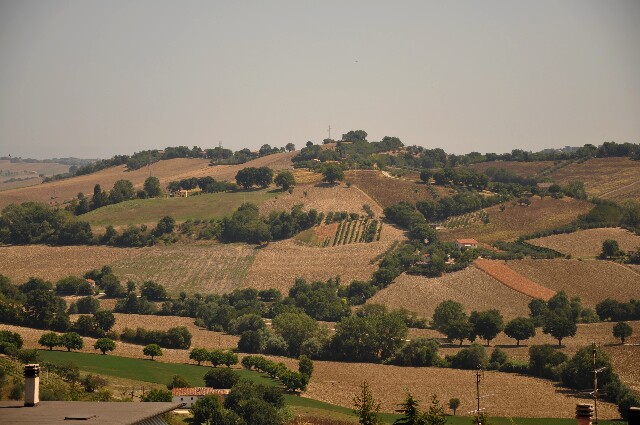 min 2009 08 18 ostra 118